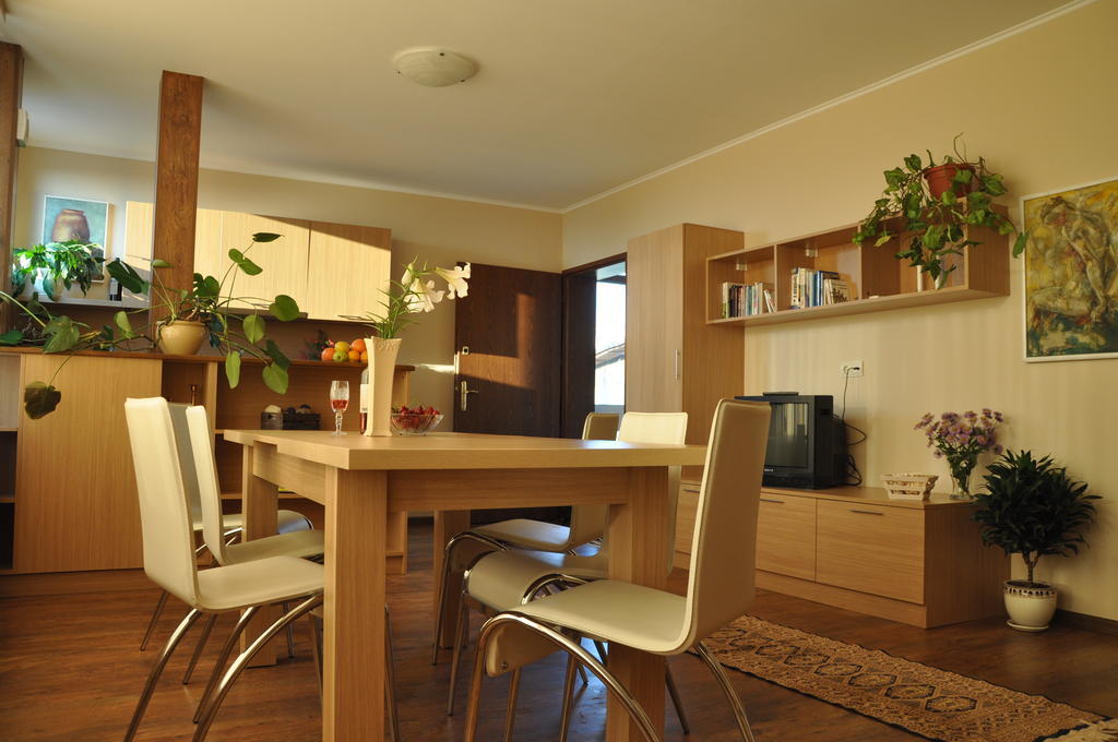 Rado Apartments Sapareva Banya Δωμάτιο φωτογραφία
