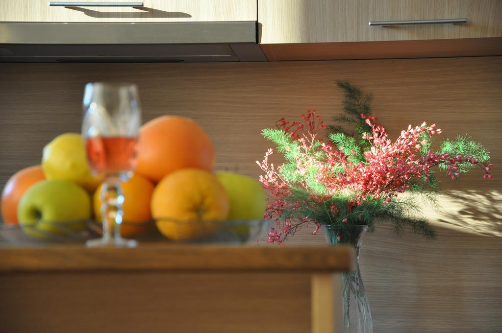 Rado Apartments Sapareva Banya Δωμάτιο φωτογραφία